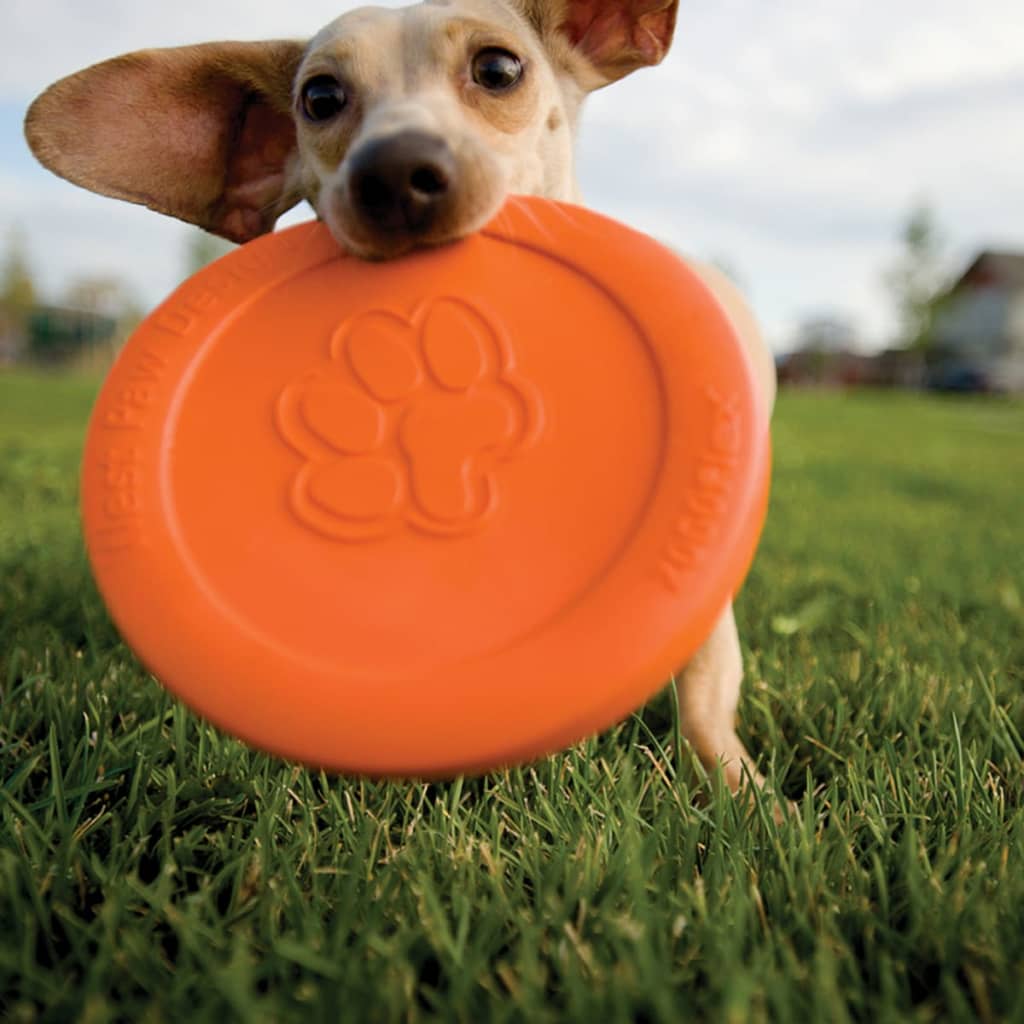 Zogoflex Hondenfrisbee Zisc oranje maat L 1937